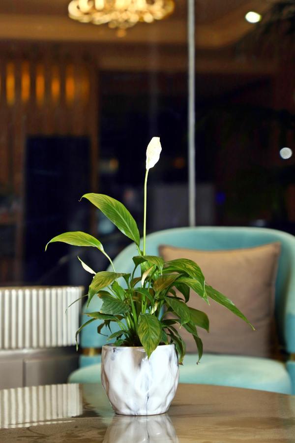 Blusalzz Residence Amritsar Dış mekan fotoğraf